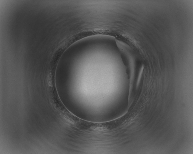X0000070160689200605301300