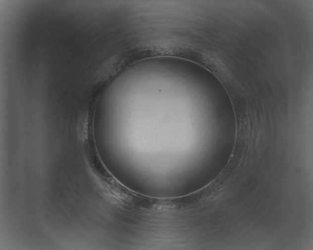 X0000070160694200605301300