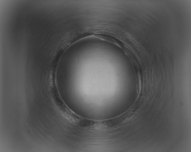 X0000070160696200605301300