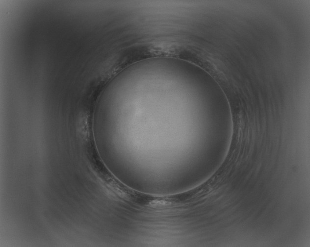 X0000070160699200605301300