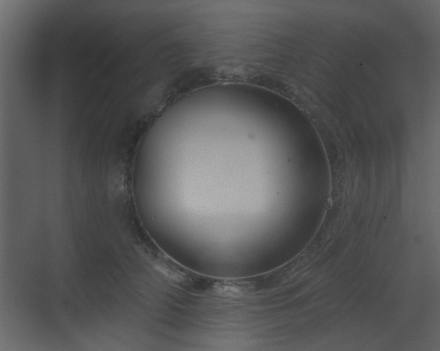X0000070160706200605301259
