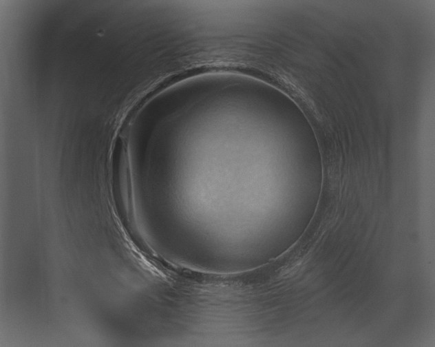 X0000070160721200605301258