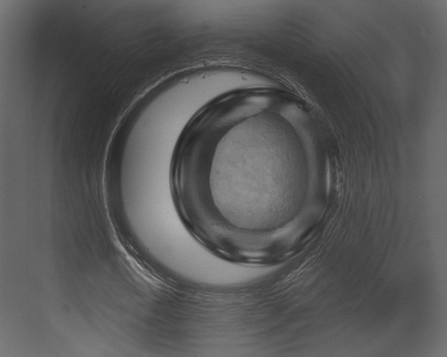 X0000070160722200605301258