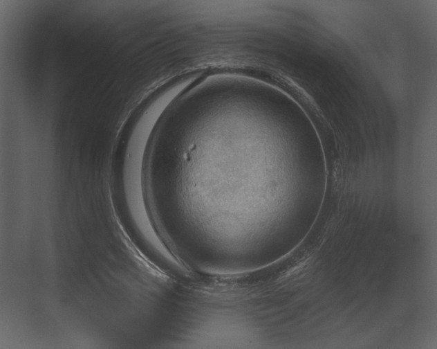 X0000070160725200605301259