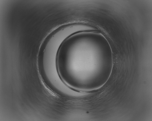 X0000070160726200605301259