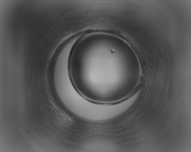 X0000070160727200605301259