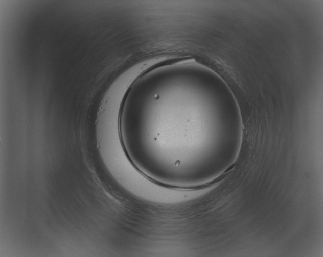 X0000070160740200605301259
