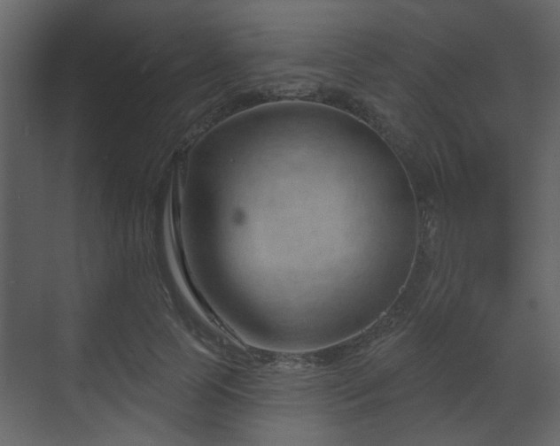 X0000070160745200605301259