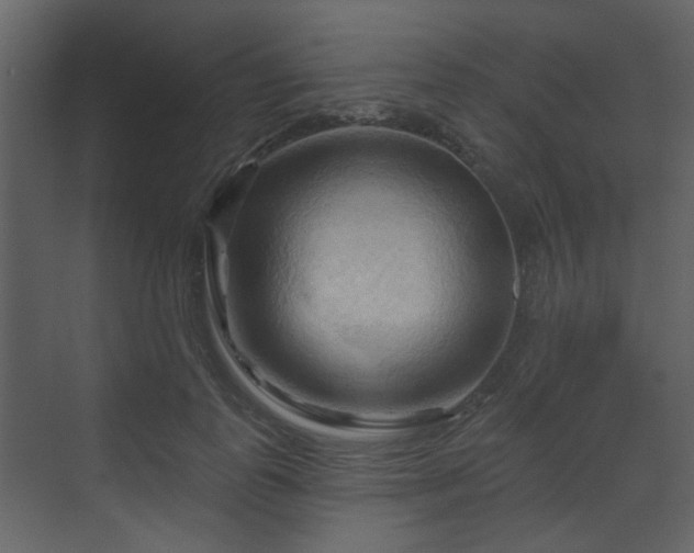 X0000070160747200605301259