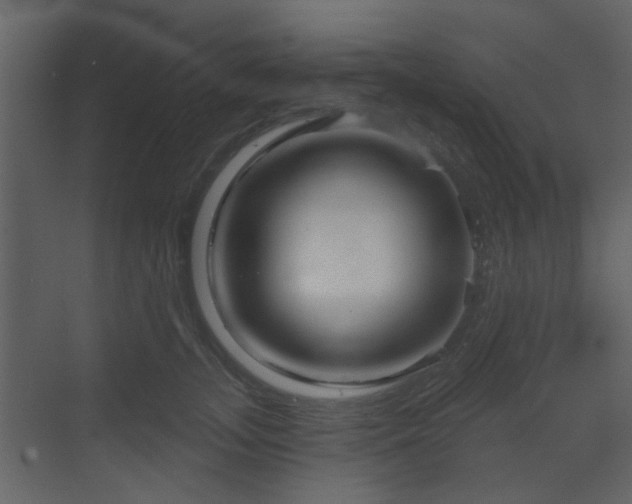 X0000070160755200605301259