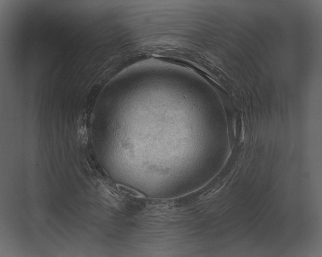 X0000070160771200605301258