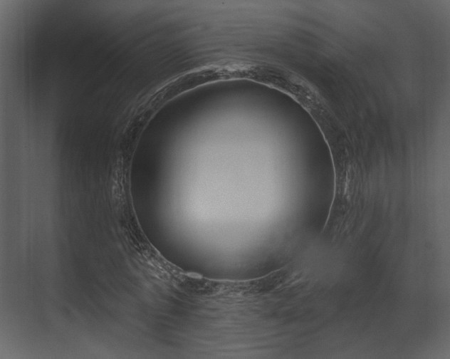 X0000070160773200605301258