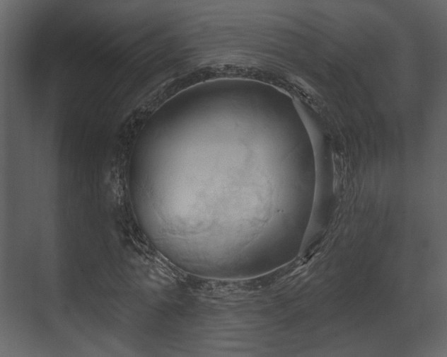 X0000070160774200605301258