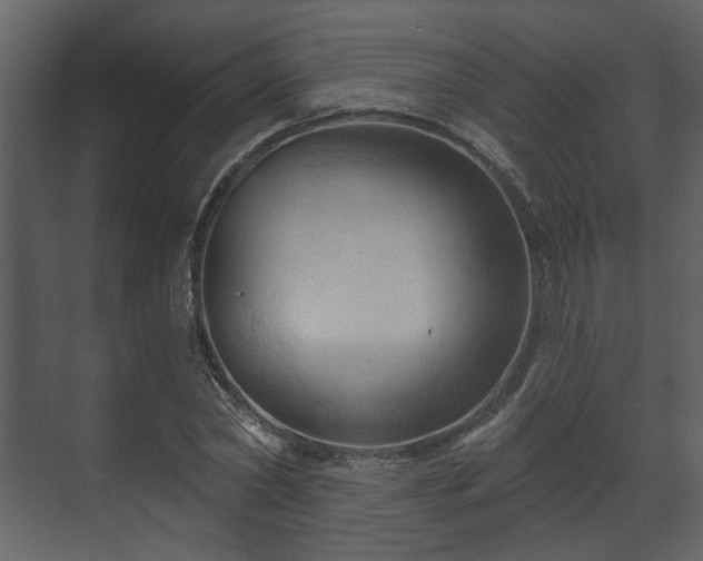 X0000070160782200605301258