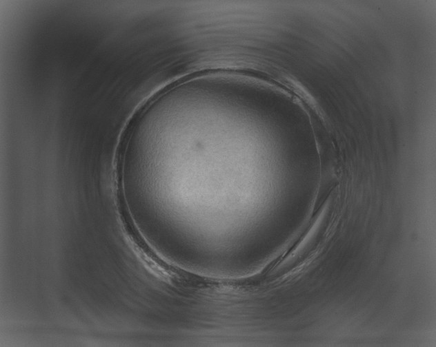 X0000070160787200605301258