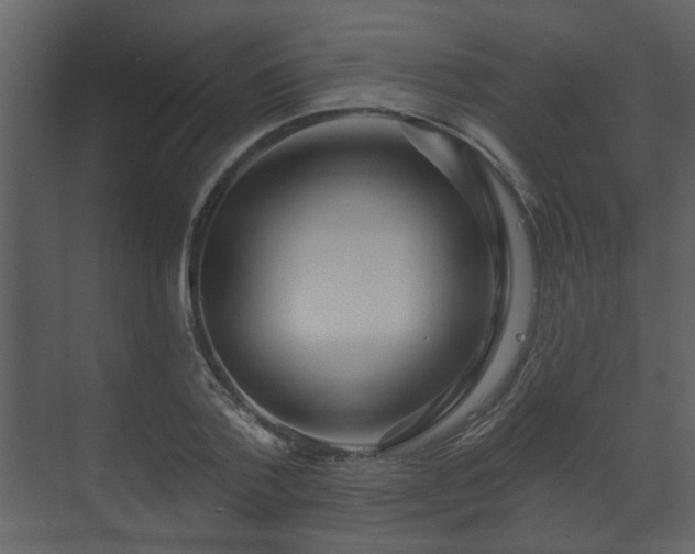X0000070160788200605301258