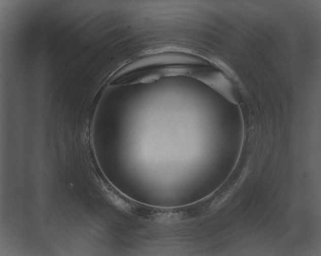 X0000070160793200605301258