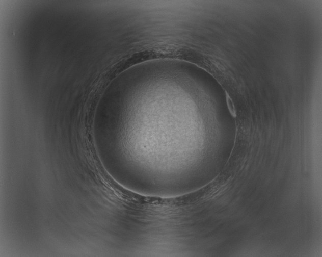 X0000070160817200605301257