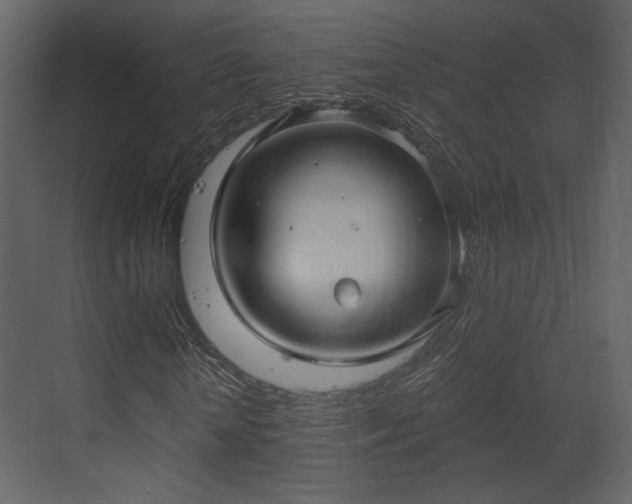 X0000070160818200605301257