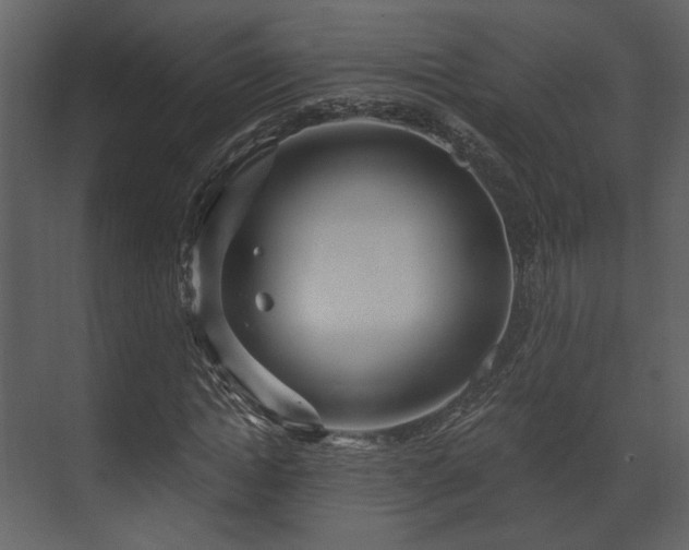 X0000070160822200605301257