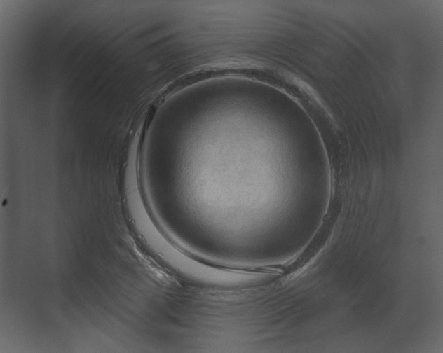 X0000070160833200605301257