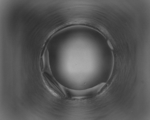 X0000070160842200605301257