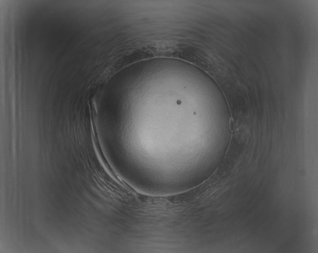 X0000070160866200605301257