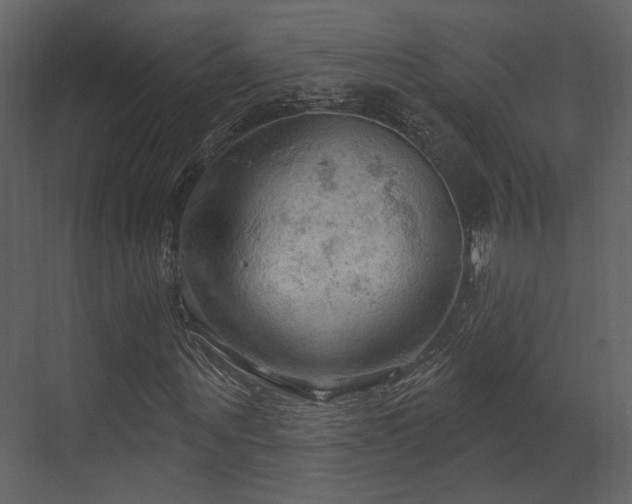 X0000070160867200605301257