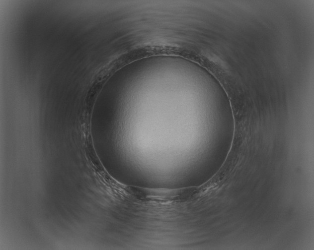X0000070160870200605301257