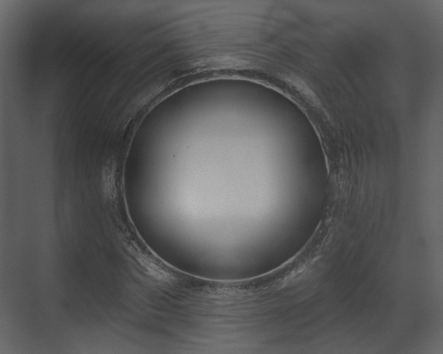 X0000070160873200605301257