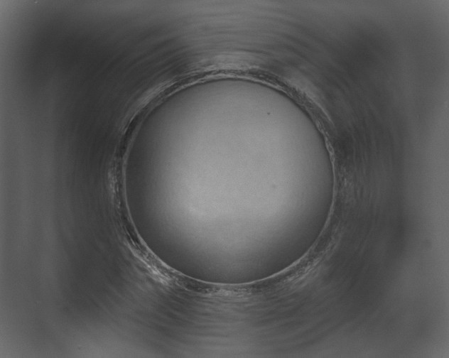 X0000070160874200605301257