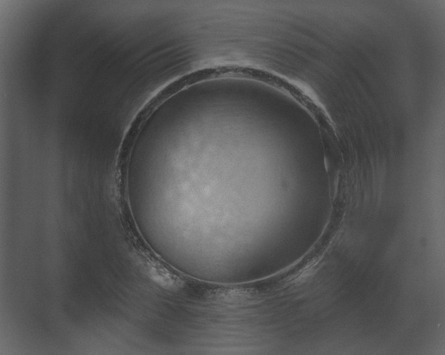 X0000070160879200605301257