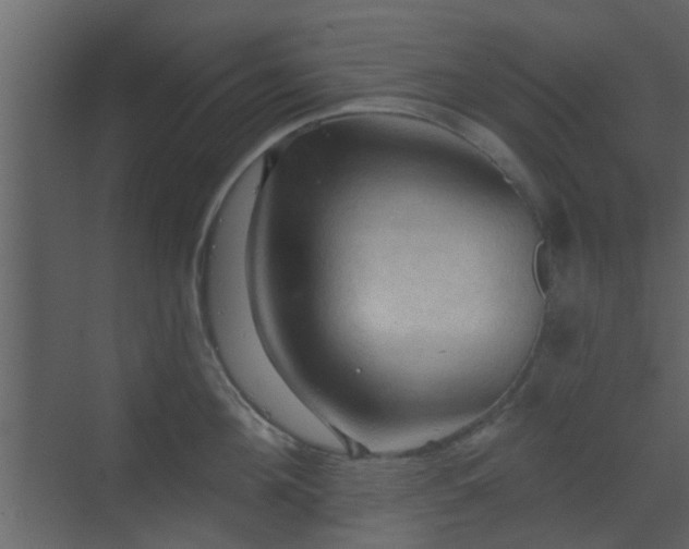 X0000070160908200605301256