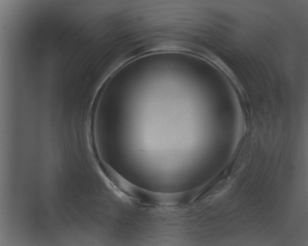 X0000070160909200605301256