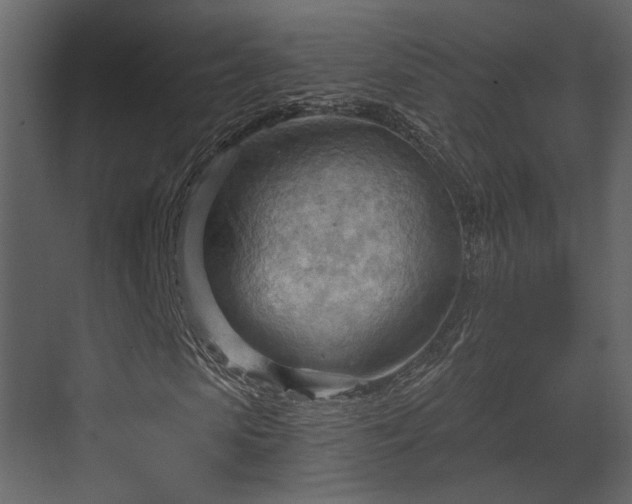 X0000070160913200605301255