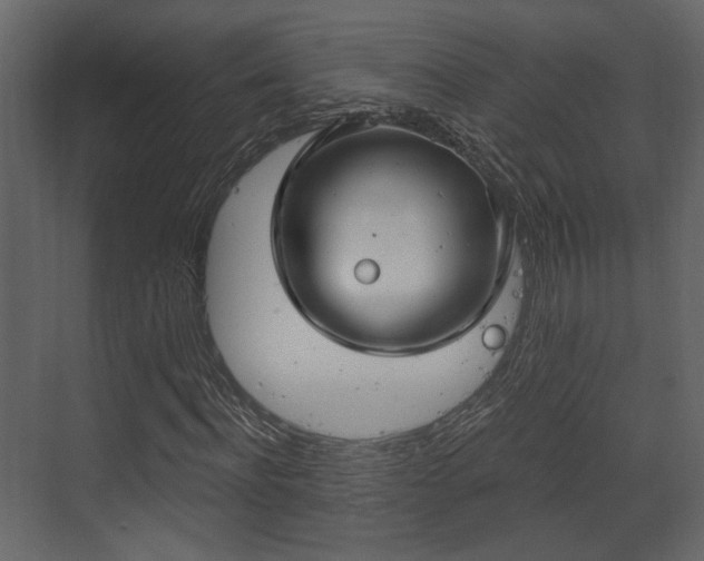 X0000070160916200605301255