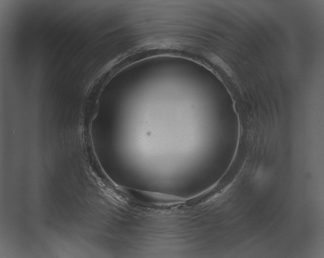 X0000070160922200605301255
