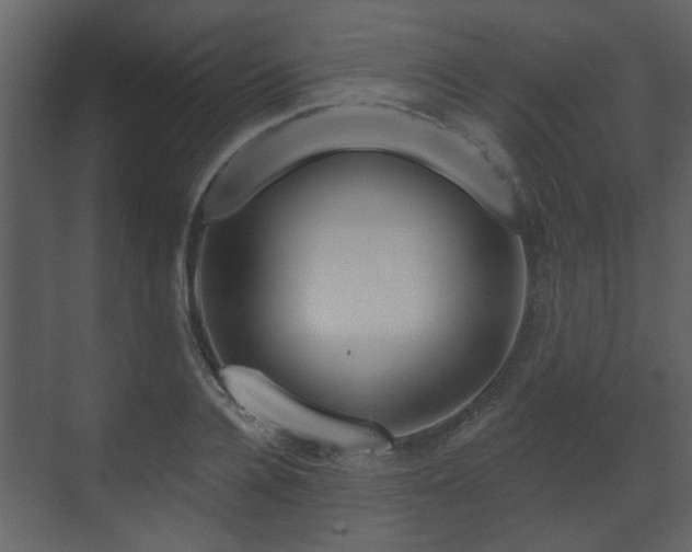 X0000070160936200605301256