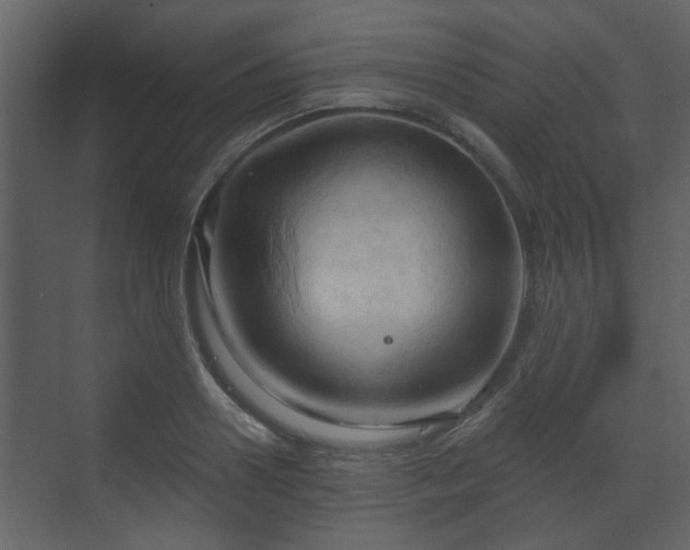 X0000070160938200605301256