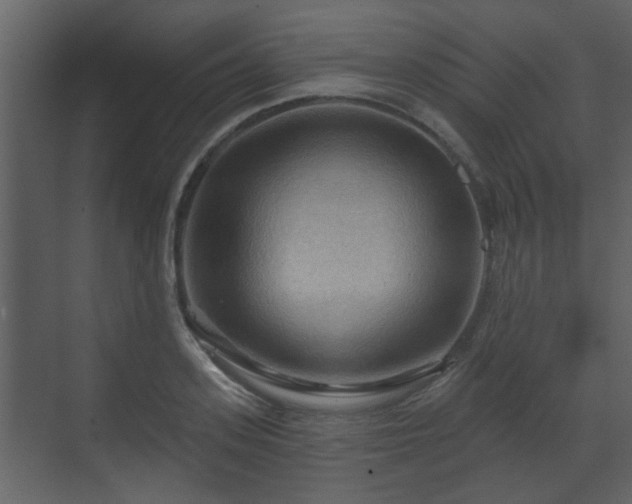 X0000070160939200605301256