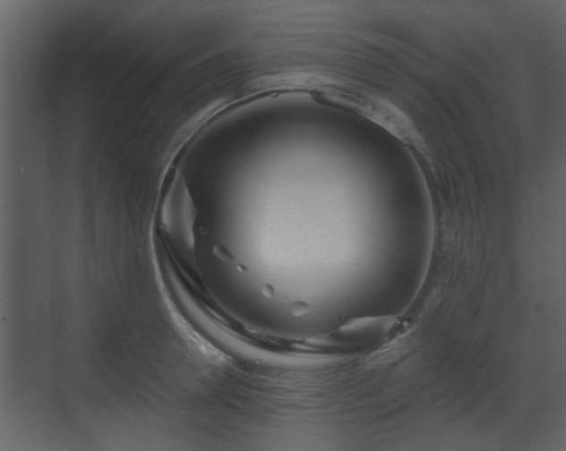 X0000070160946200605301256