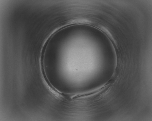 X0000070160947200605301256