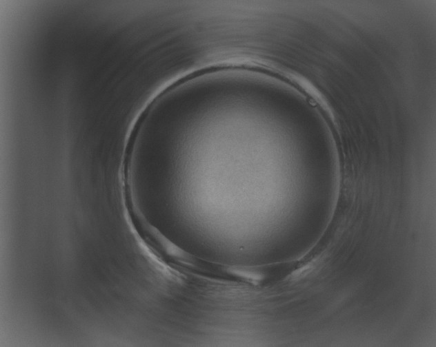 X0000070160951200605301256