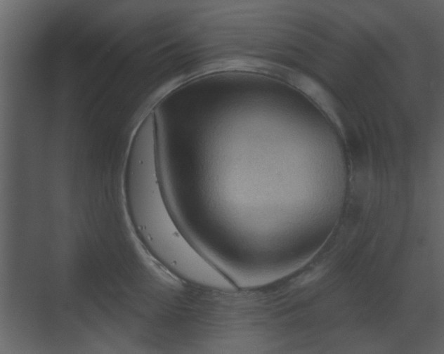 X0000070160954200605301256