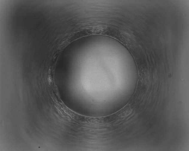 X0000070160962200605301255