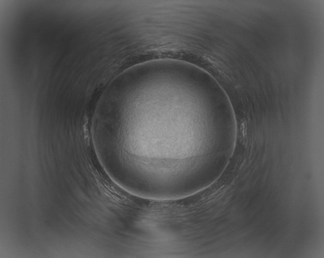 X0000070160963200605301255