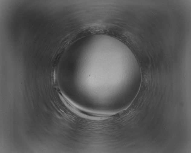 X0000070160964200605301255