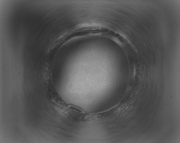 X0000070160967200605301255