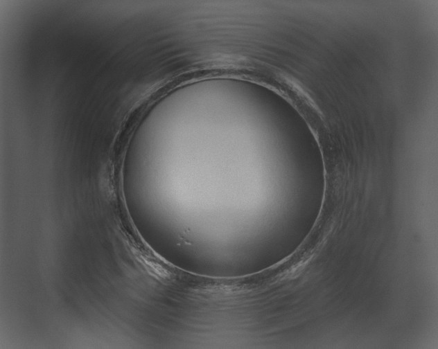 X0000070160970200605301255