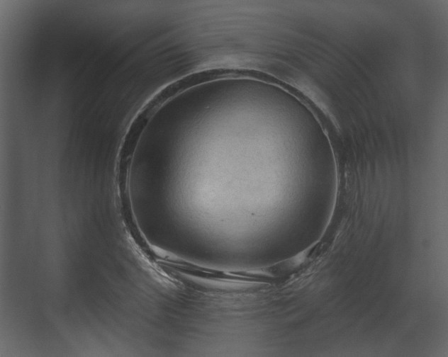 X0000070160972200605301255